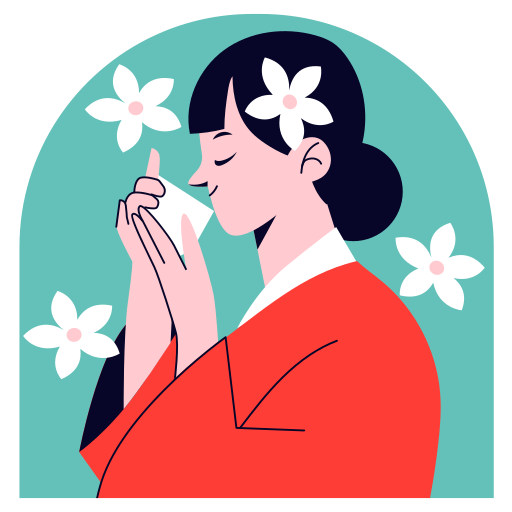 Japan Travel Guide for Tourists